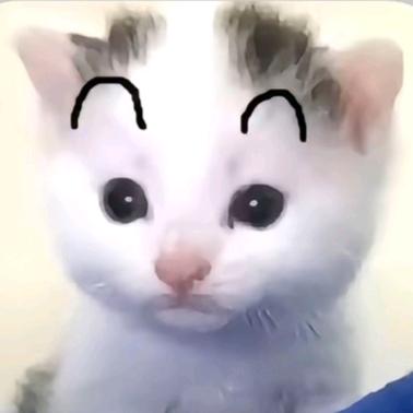 丢丢