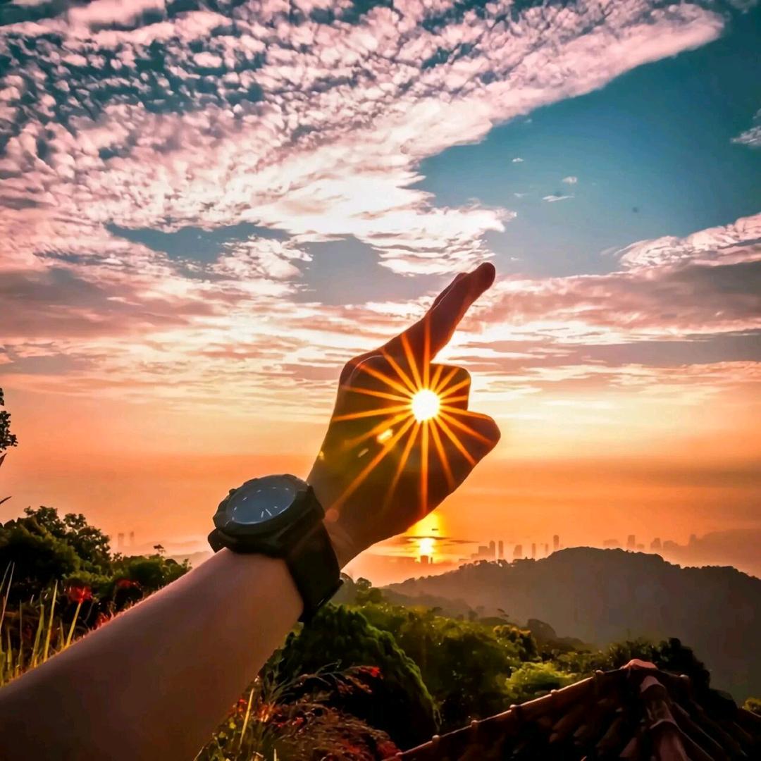 清晨的阳光☀️