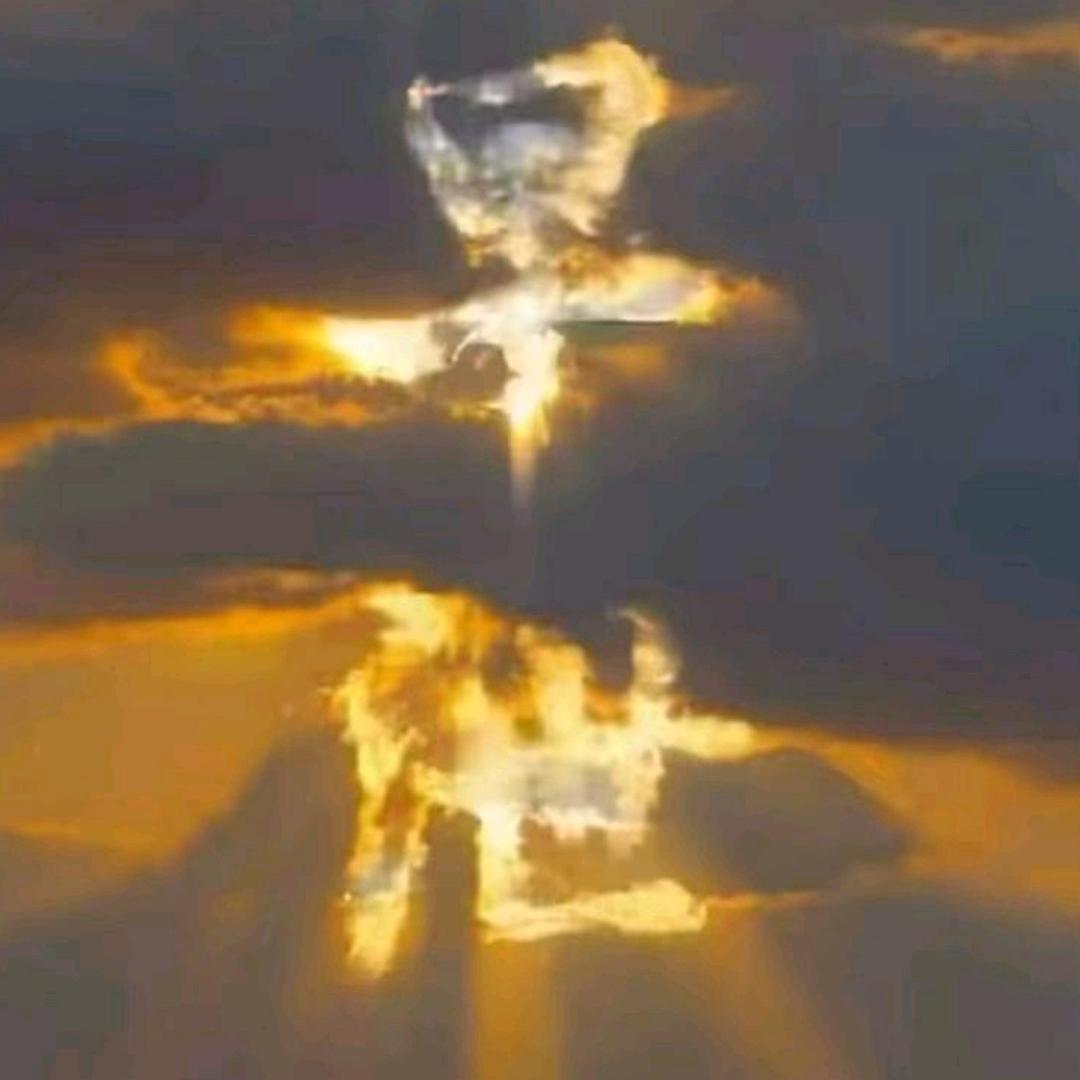 元姐广州行