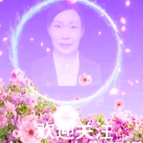 泸州移动宽带金泉