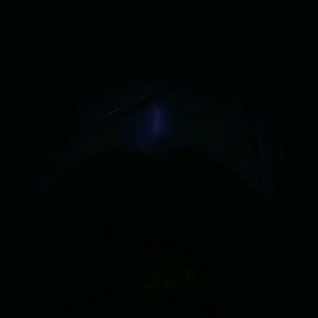 不会原谅伤害我的人