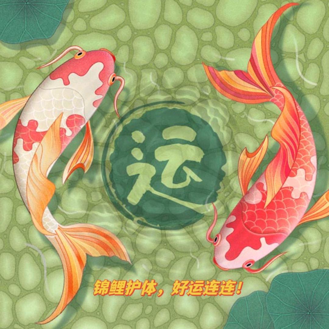 好运莲莲
