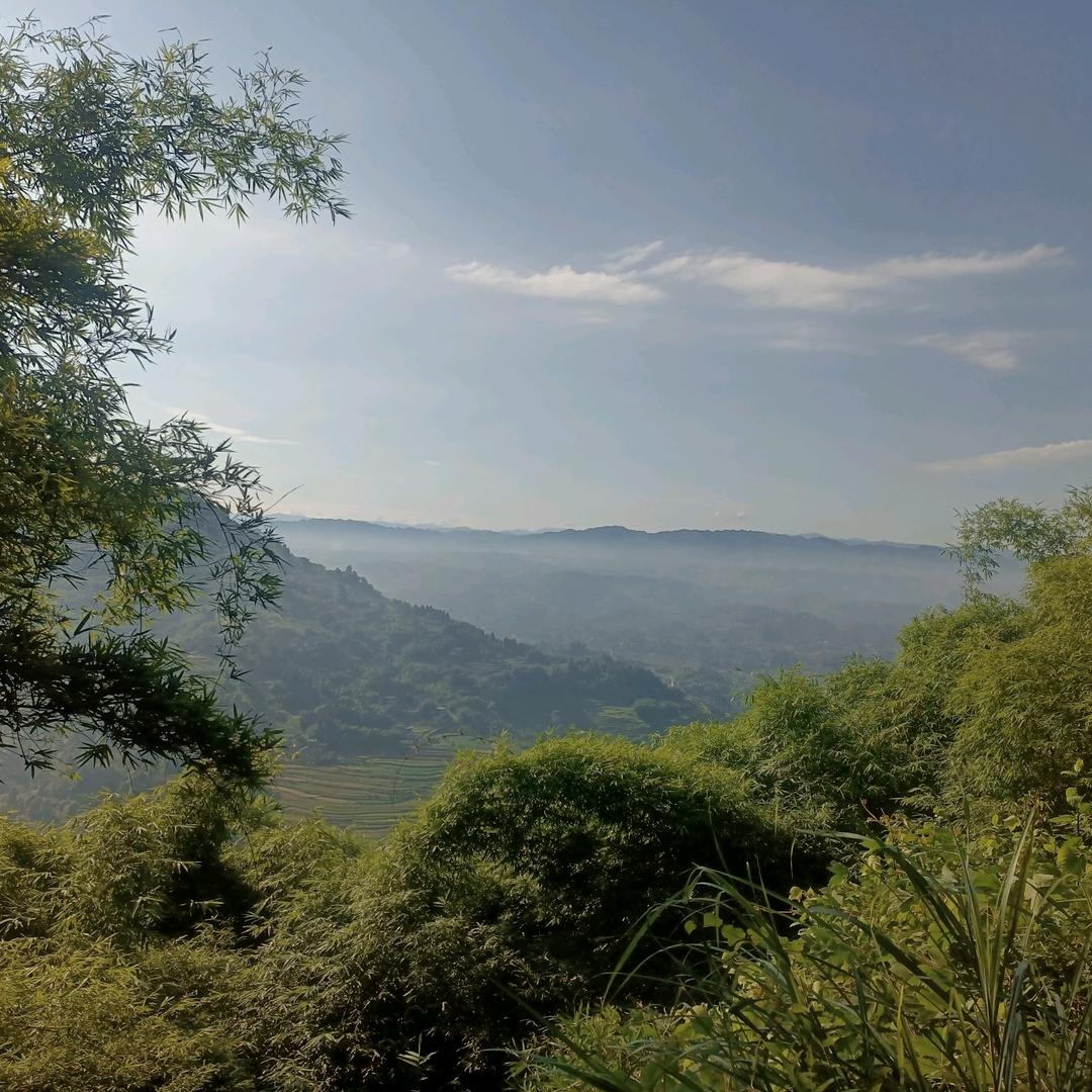 燃风居士