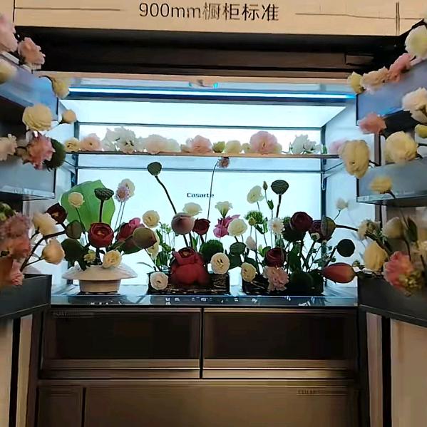 海尔专卖店(商水行政路店)