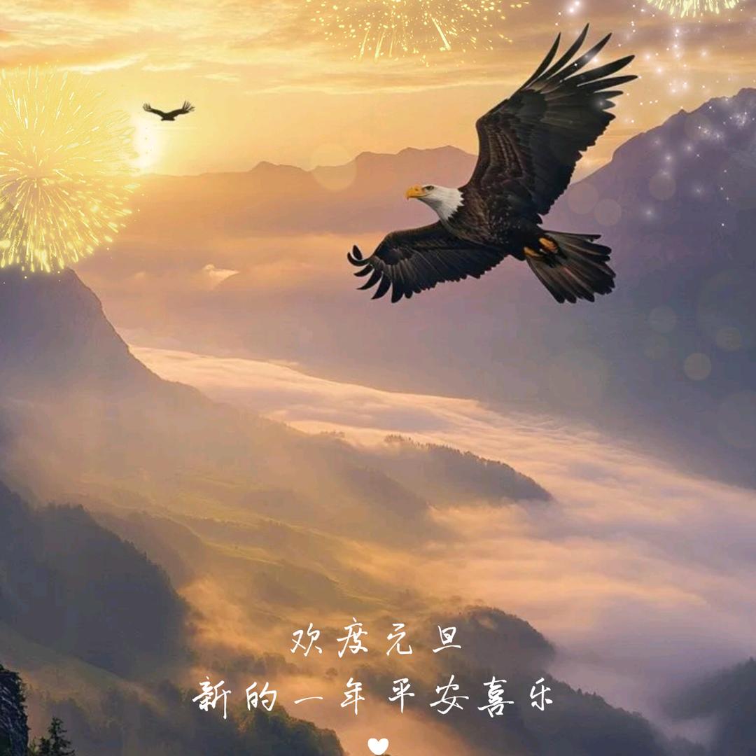 欧梵美发