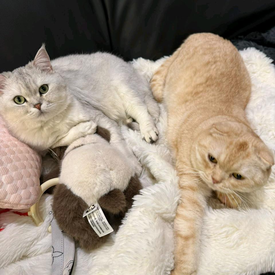 第57次取消发送ⁱʰᵃᵒ