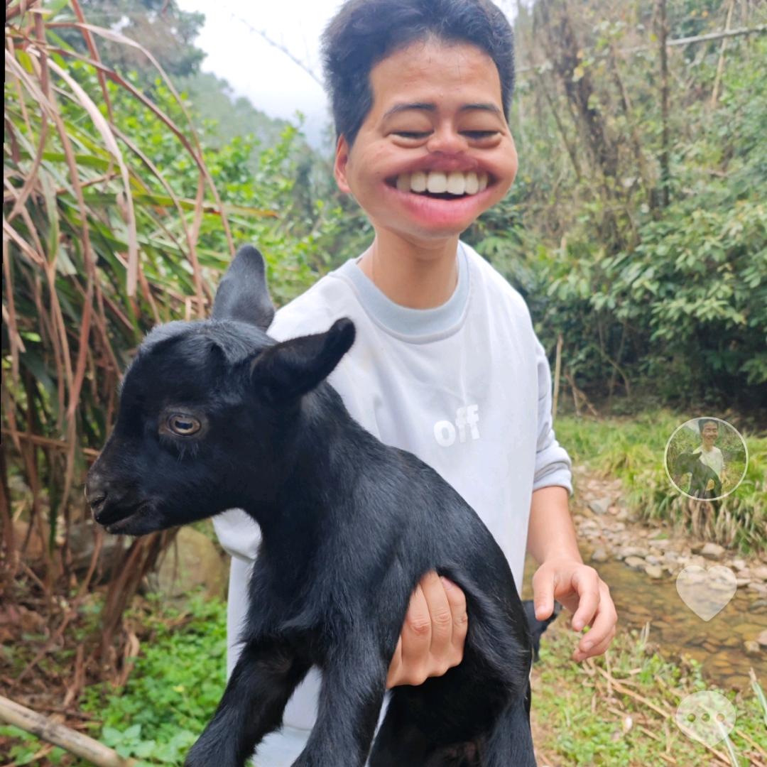 放羊仔小福福