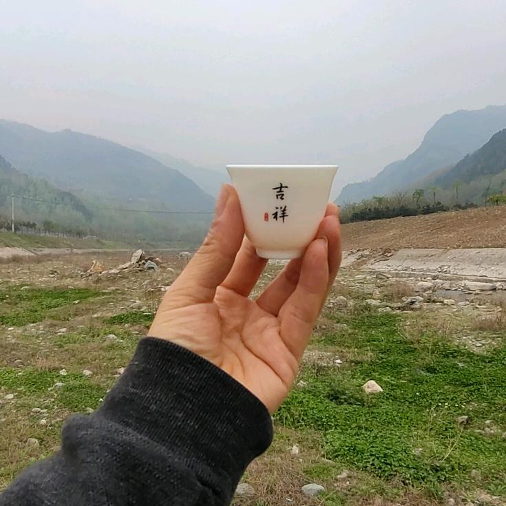 蓓蕾托管