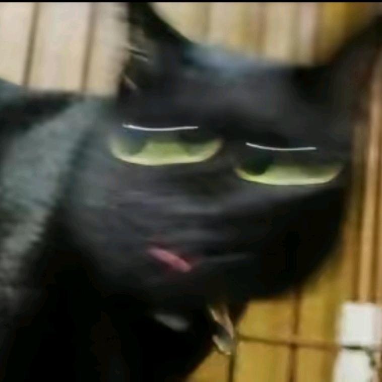 拖延king
