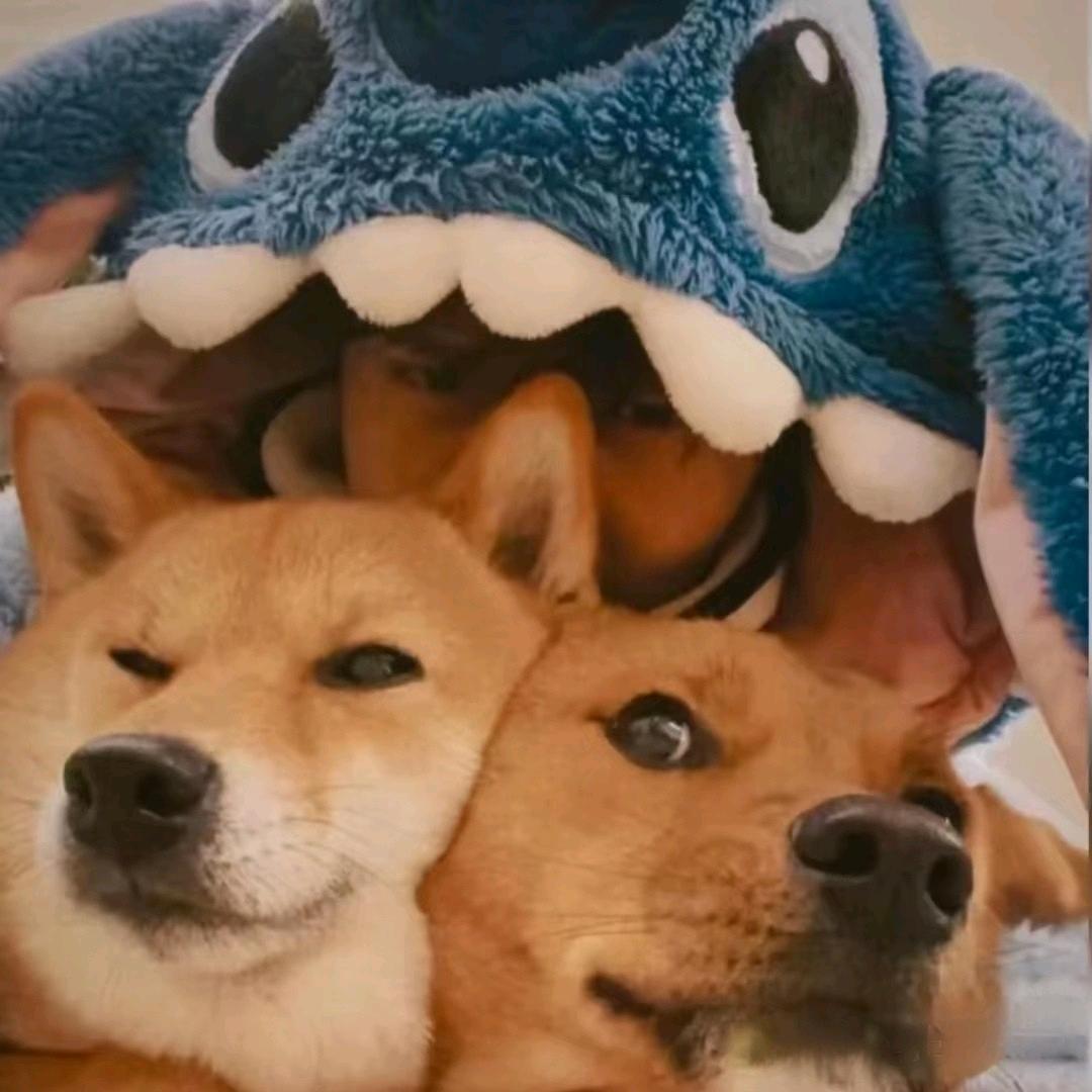 简亓（见十个勤天、苏醒、陆虎版）