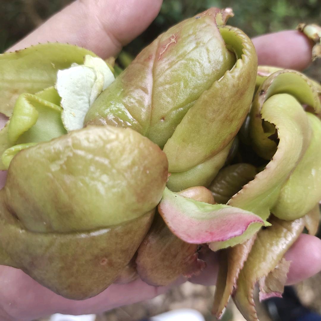 曾经