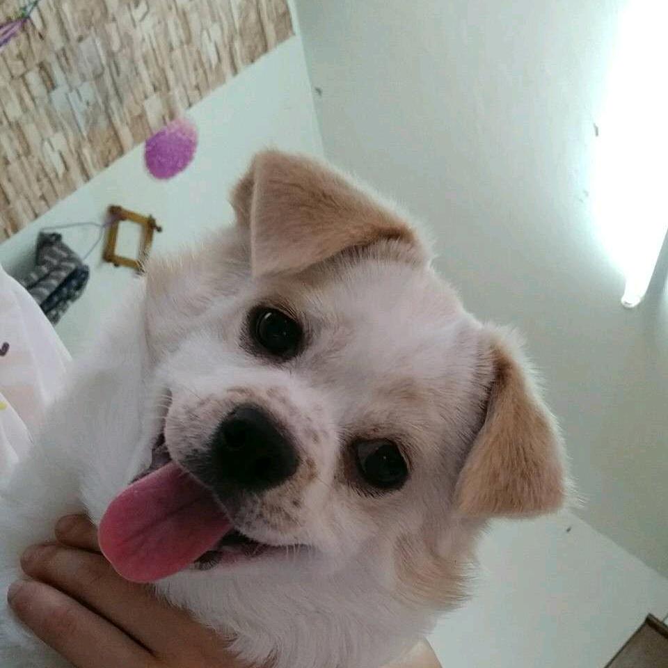 老七头像