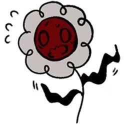 这对吗（cn目目）