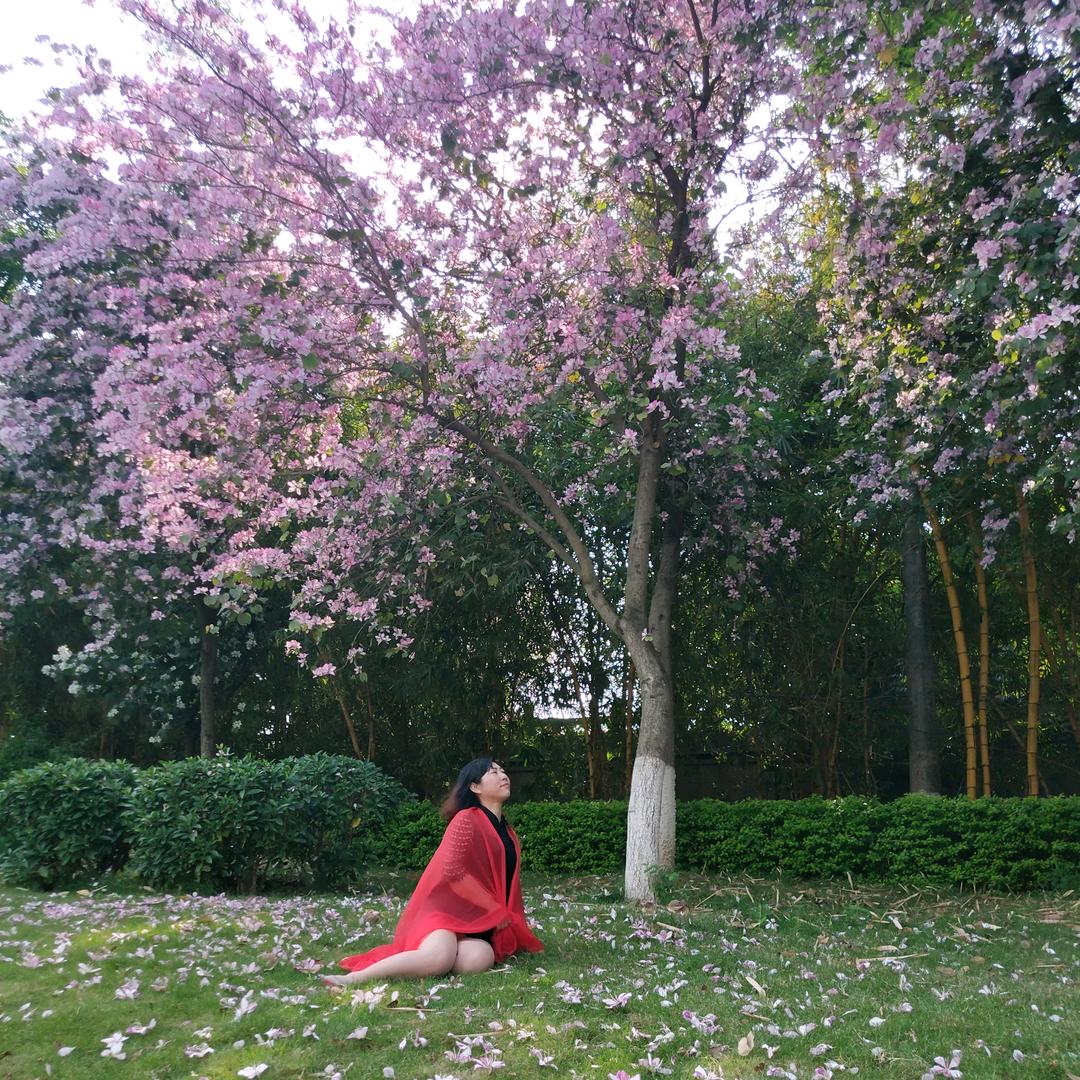 用户8273730445998唐糖