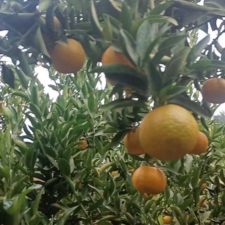 新的一天