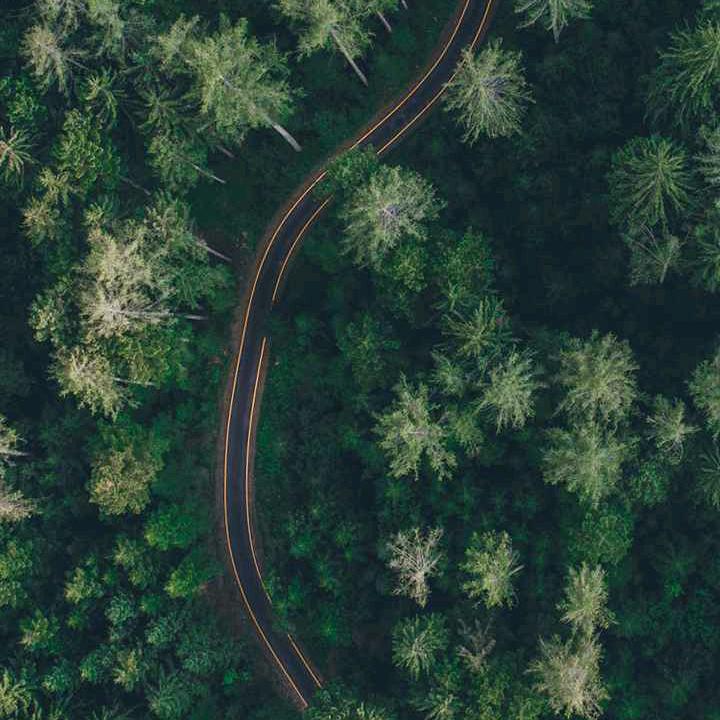 TT