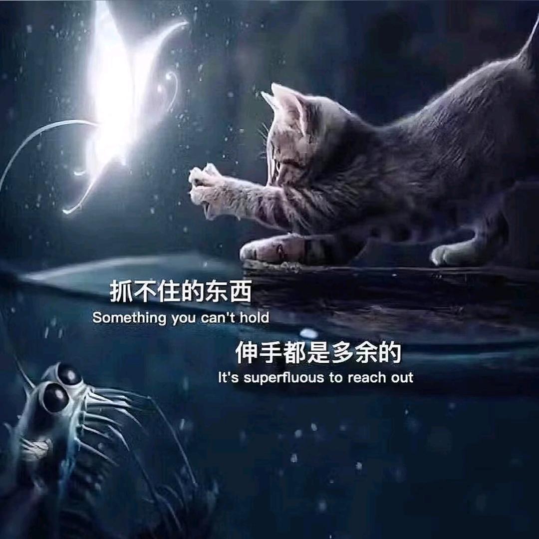 ℳ๓自渡༊