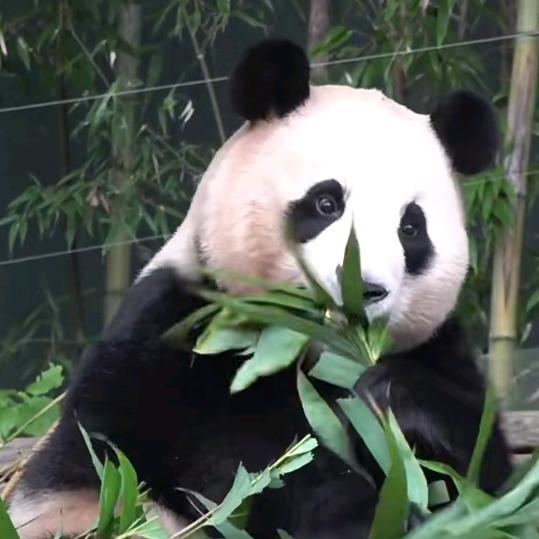 聚蜂网络商行