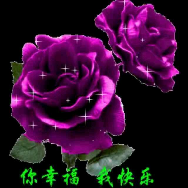章美琴