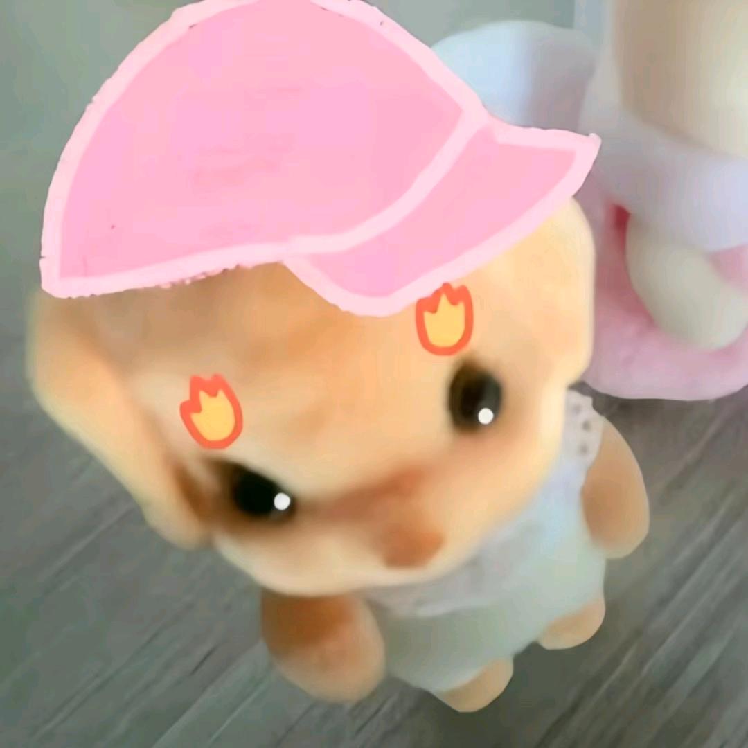 我没有脾气