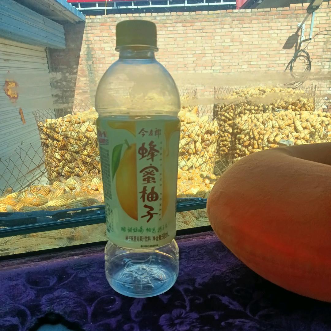 J6~晋K郑公子