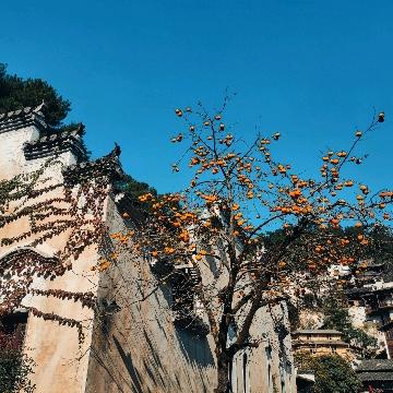 纳兰小述