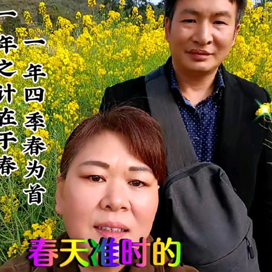 刘均羊