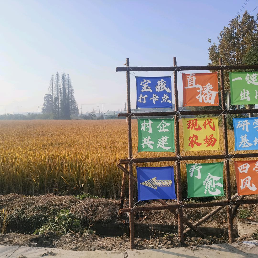 鱼和熊掌不可兼得