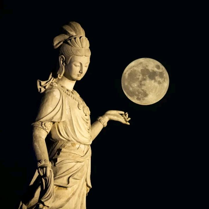 收藏投资周报