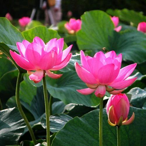 悠悠岁月