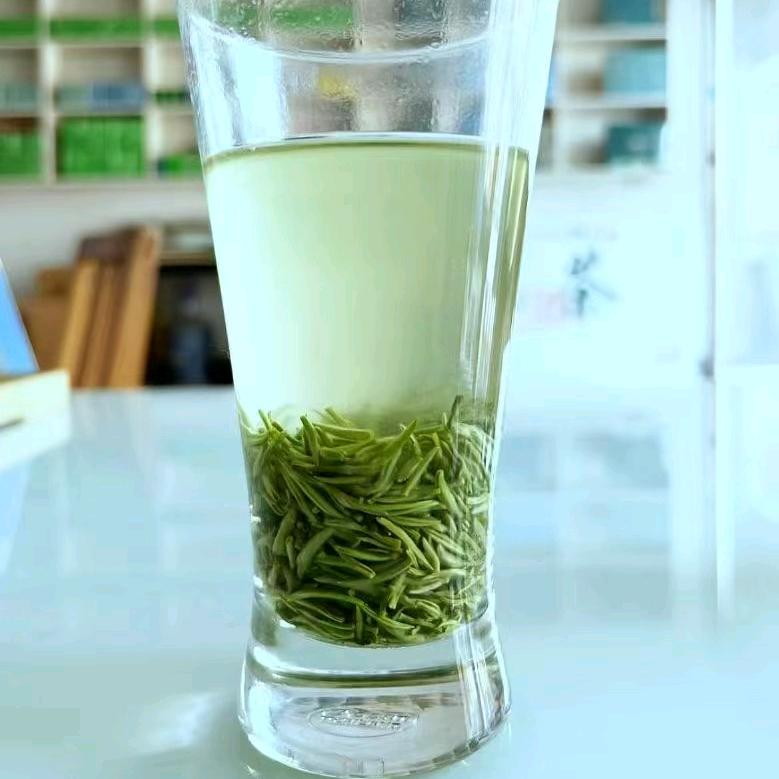 暖心男孩(信阳毛尖批发零售)