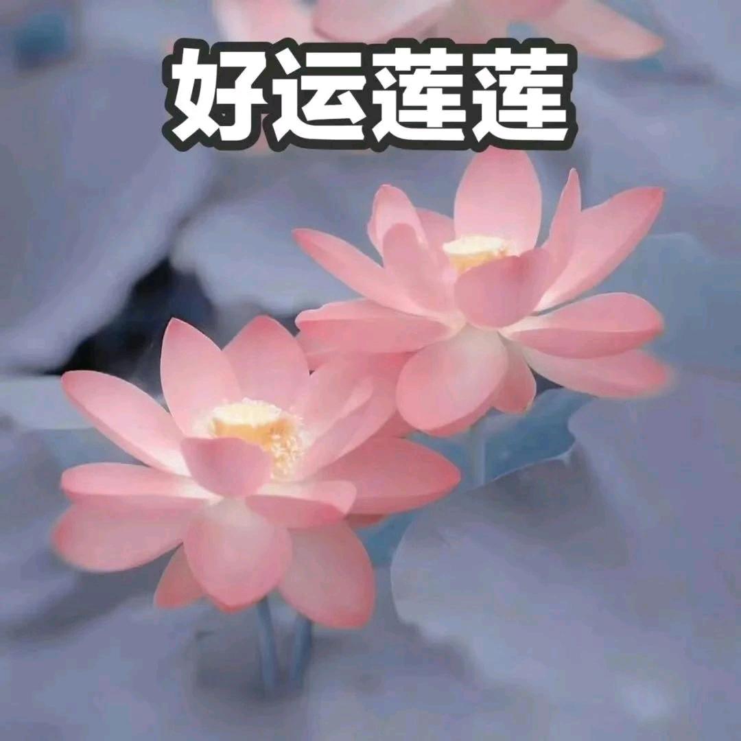 噼里啪啦咚