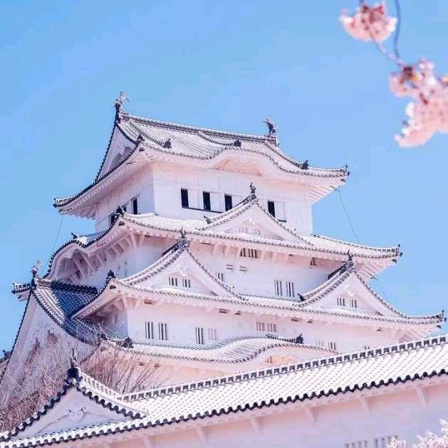 神秘人