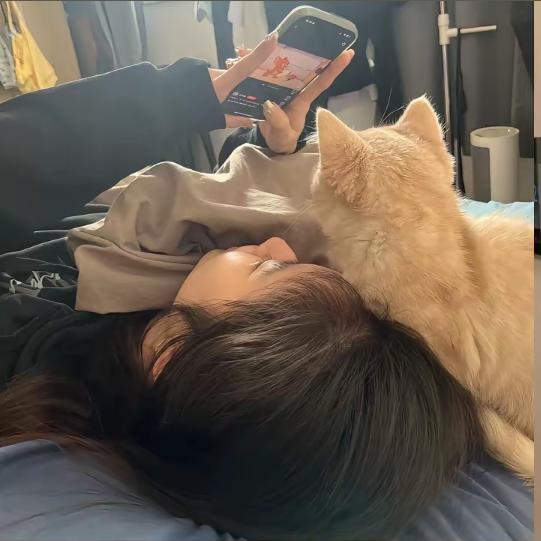 再見再也不見