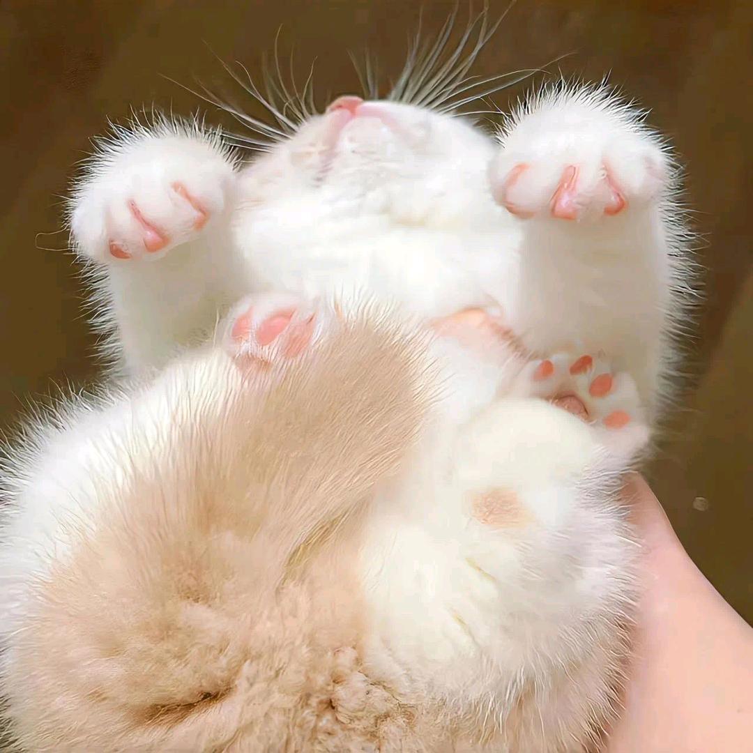 灵xi❤️Dark and daRk