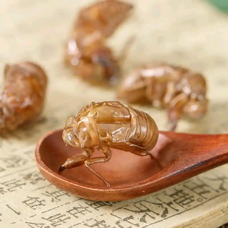 千年药都安国蝉三