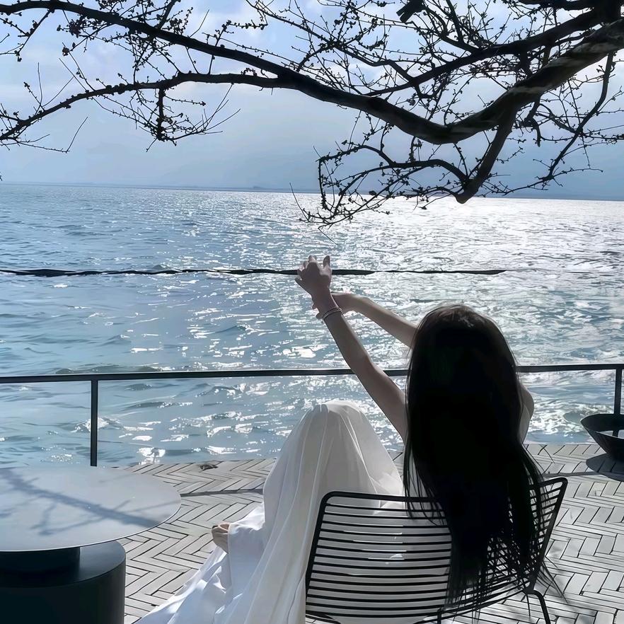 🌈秦九九姓李.💜