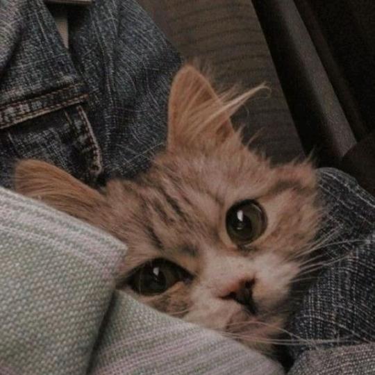 刘天梓