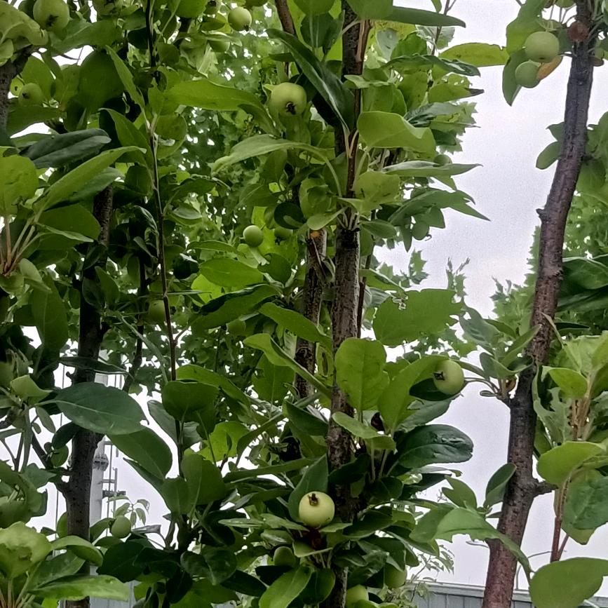 生命之源