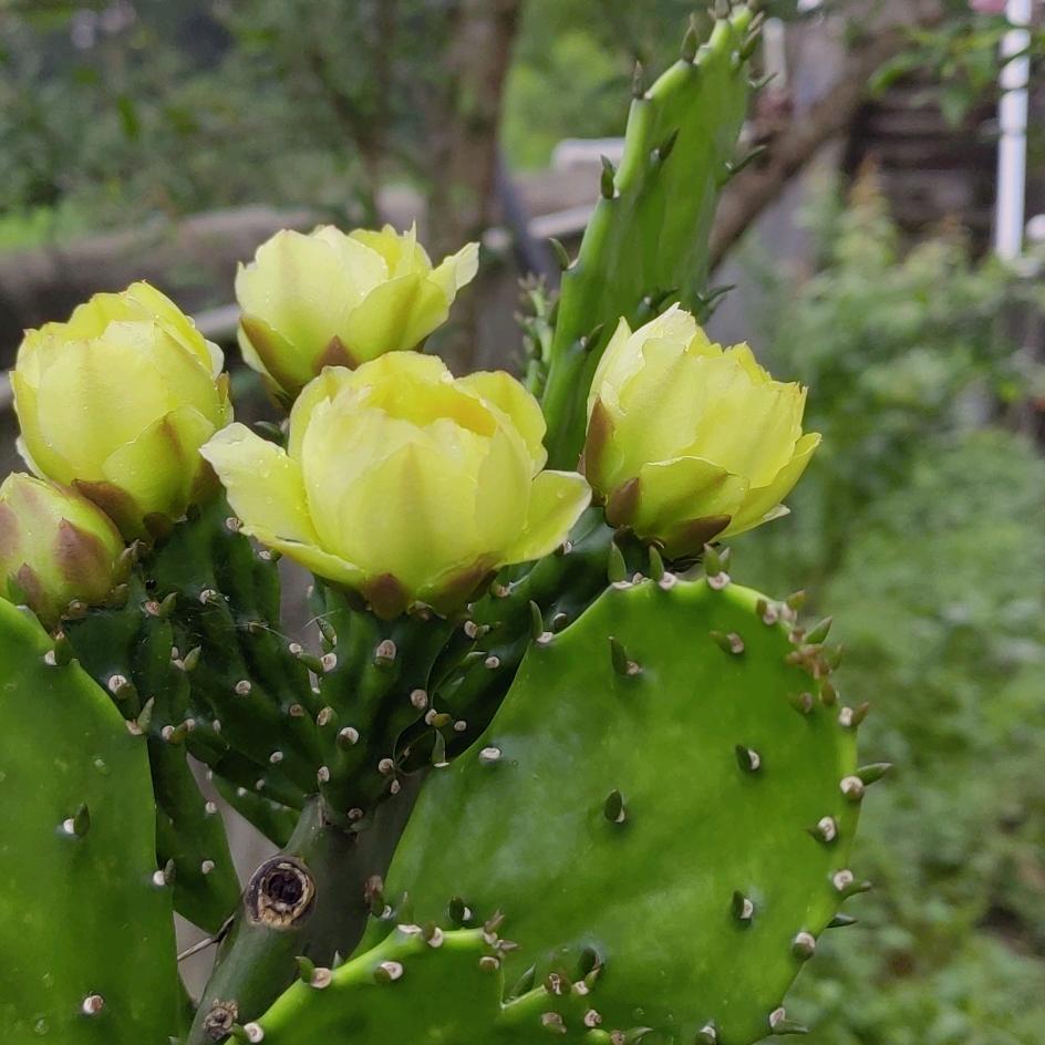 ꧁💖꫞꯭🌺往事归零꫞💖꧂