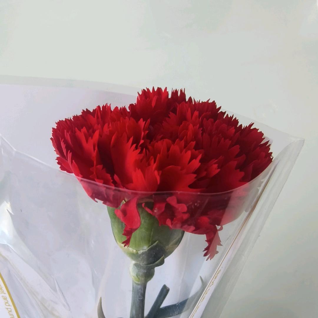 阿啾（月子中）