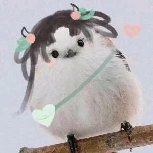 慕容梦瑶