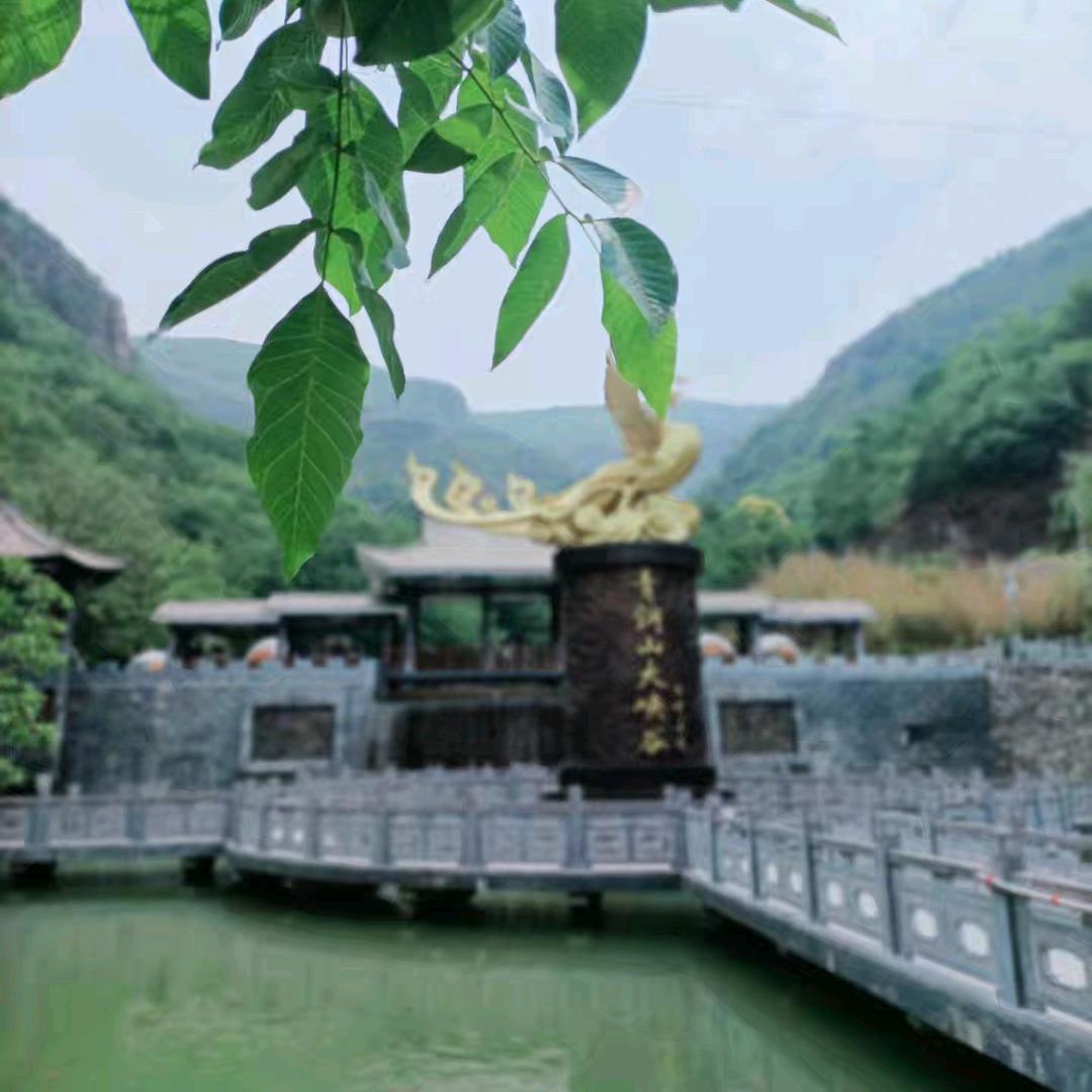 山东贱伟（百姓大舞台）