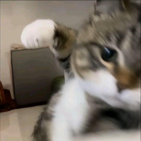 吴一