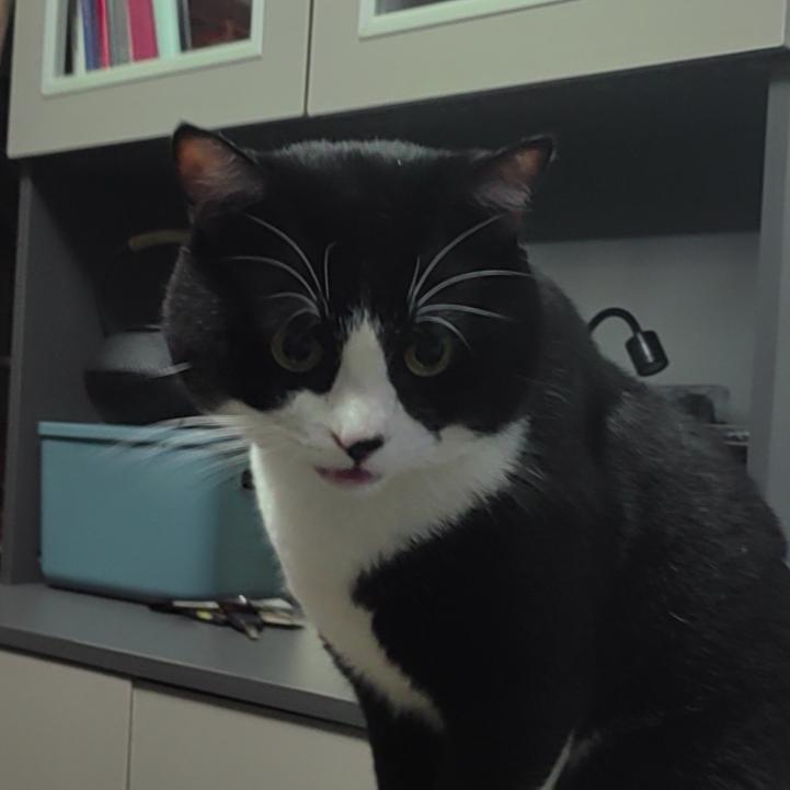 🌖🌗🌘🌑🌒🌓🌔