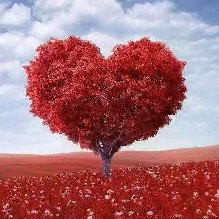 幸运♥遇见你❤