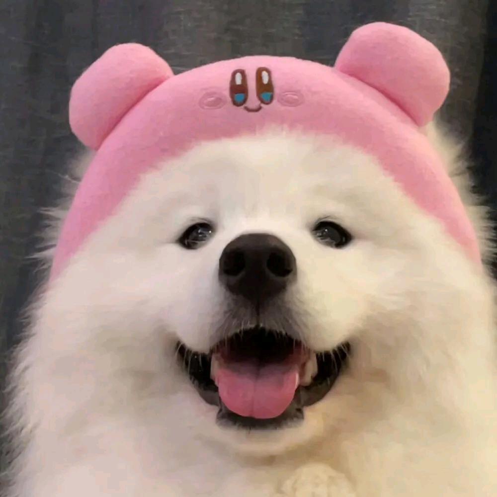 土笋冻