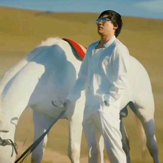 阿克苏沃尔坎汽车充电服务公司