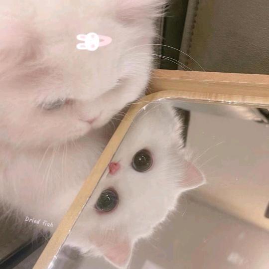 小小月
