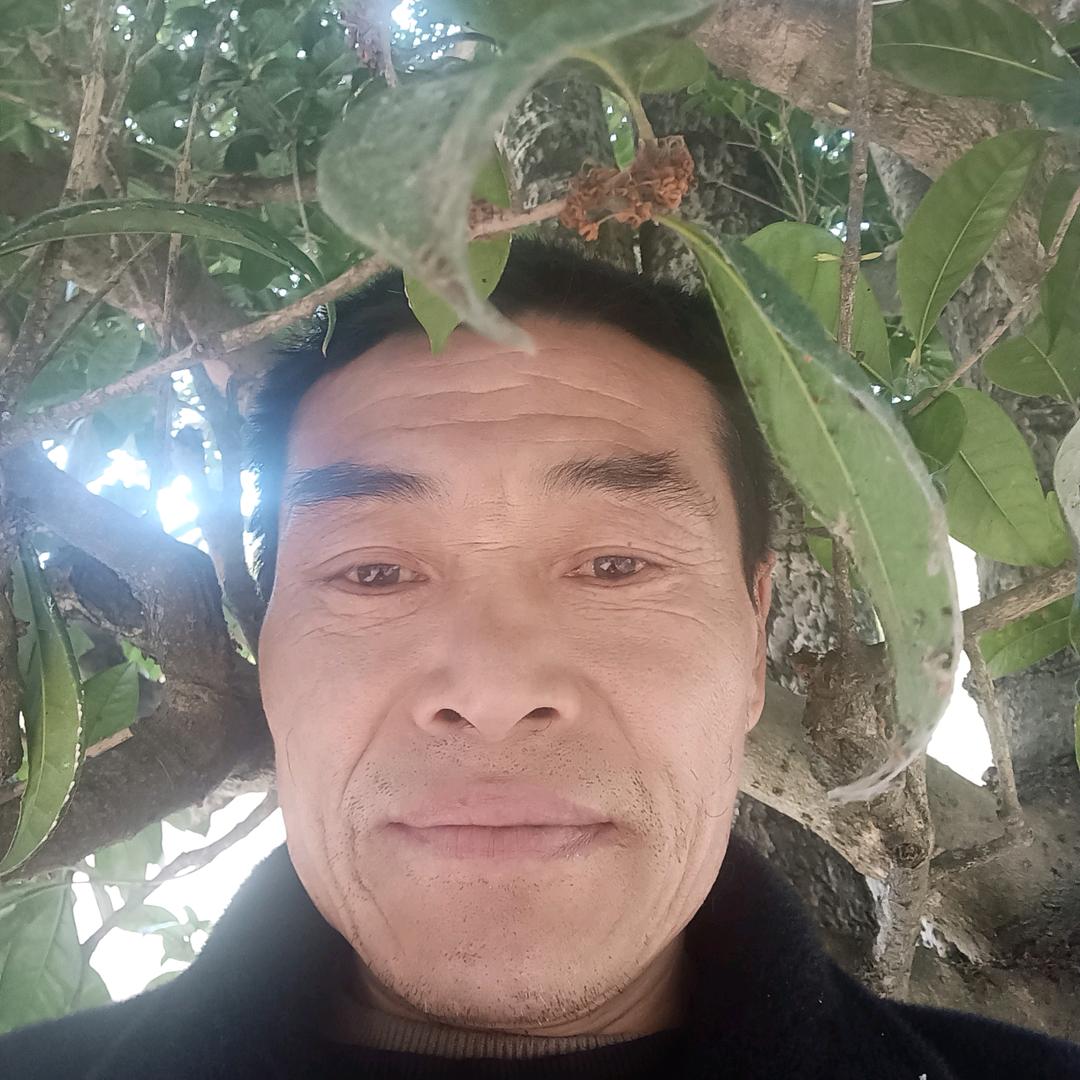 上山人2